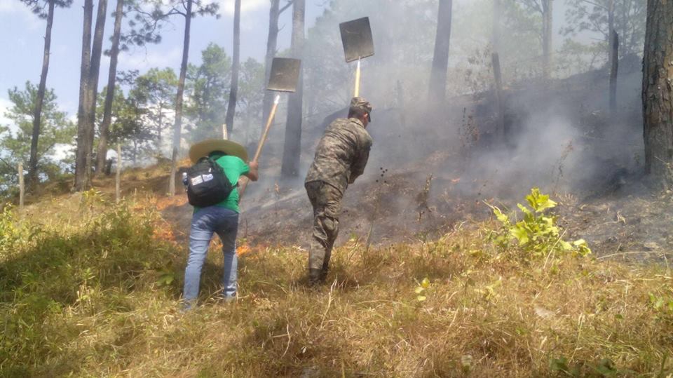 Japón dona equipo a Honduras para combatir incendios y plaga de gorgojo
