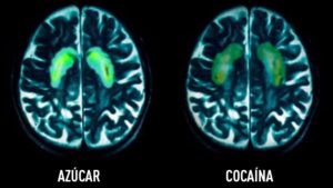 Cuadro comparativo.