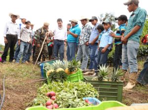 Productos alimenticios 