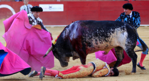 Torero-Victor-Barrio-muere-cogida_LNCIMA20160709_0094_5