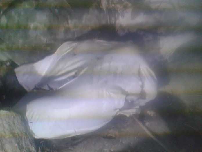 cuerpo encostalado en olancho
