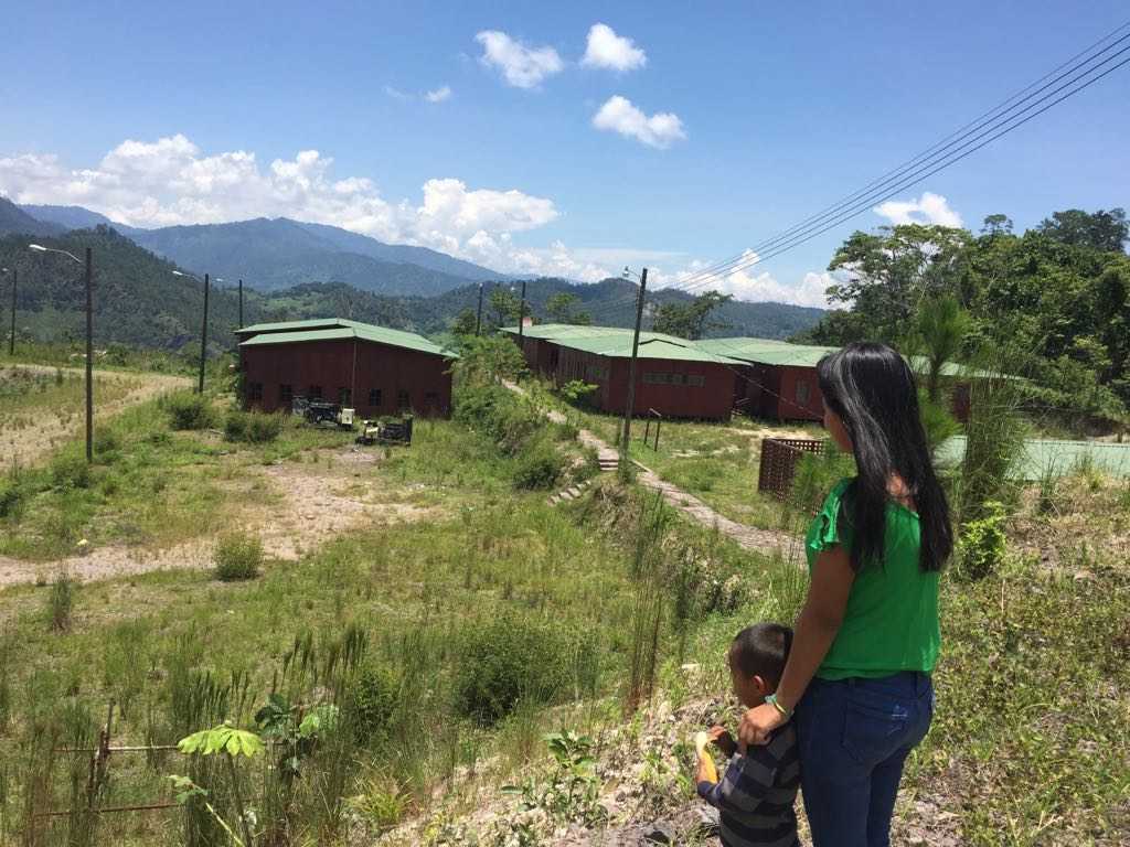 3-Muchos niños están trabajando en actividades agrícolas luego que los centros educativos que financiaba la empresa fueron cancelados