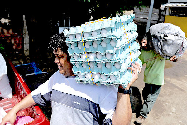 Huevos Honduras