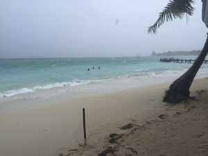 Tormenta Earl ya mueve las palmeras y agita el mar en Roatán