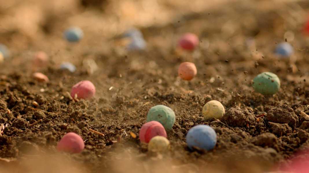 bombas de semillas