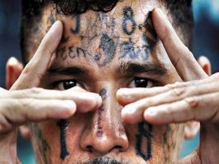 Condenan integrantes de banda criminal
