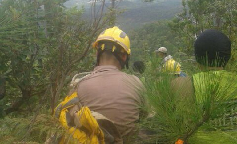 Equipos de rescate trabajan arduamente en la búsqueda.