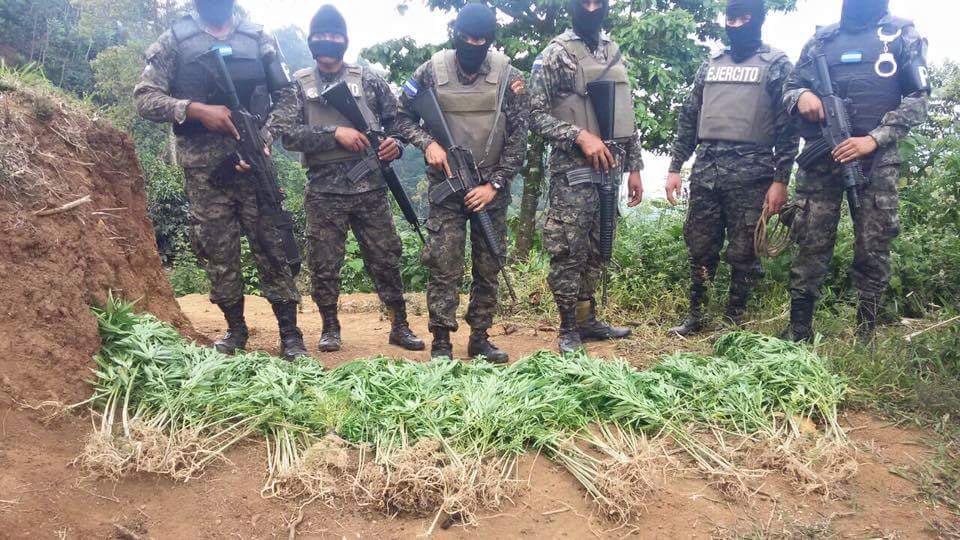 tránsito de cocaína