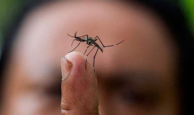 zika