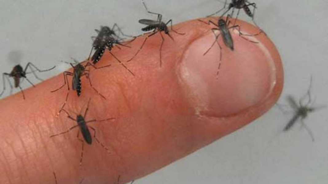 zika