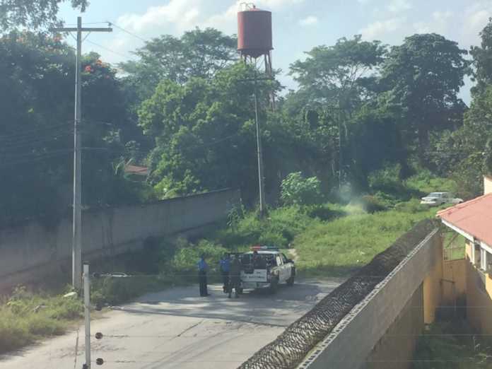 muertos en Residencial Los Cedros