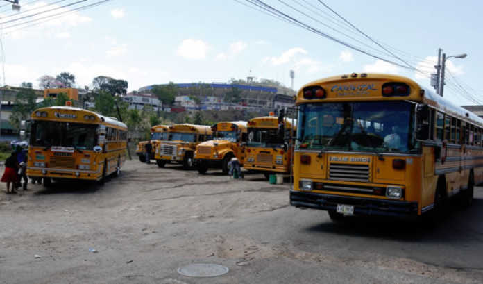 Apenas casi 5 mil unidades de transporte han sido censadas