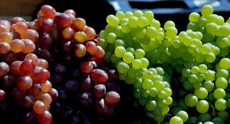 12 uvas