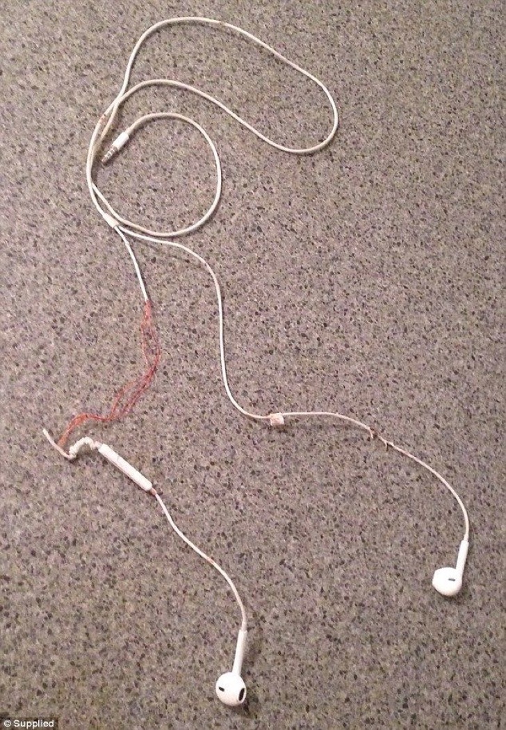 Auriculares.