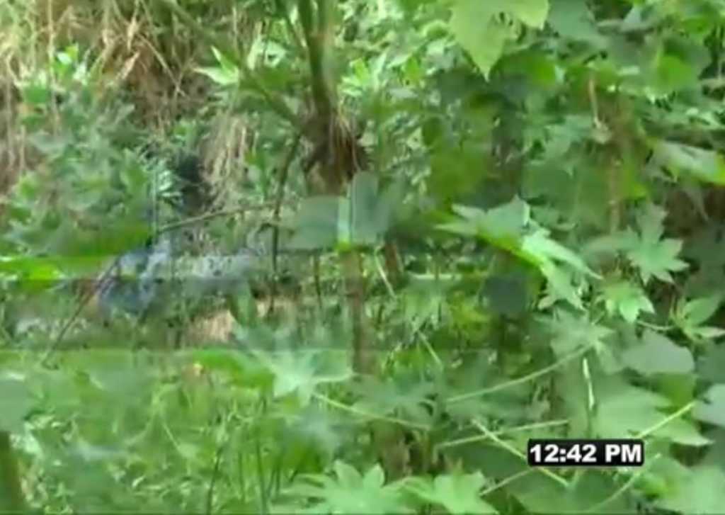 La víctima fue lanzada a un barranco de unos 30 metros.
