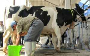 leche