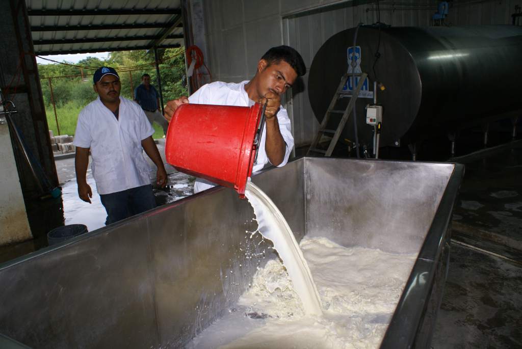 Productores de leche
