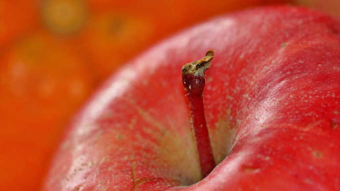 manzanas manzanas