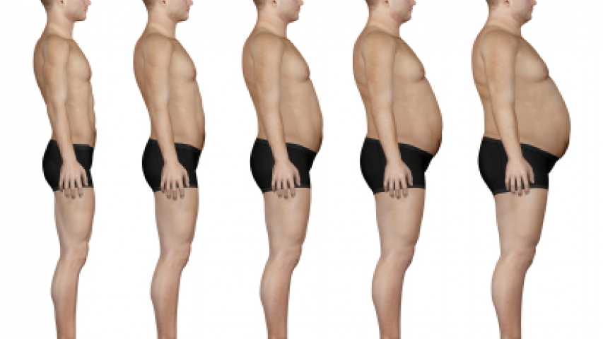 perderbarriga