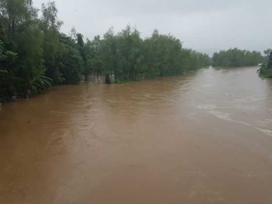 El Río Tocoa en Colón ya cubre los árboles de la zona.