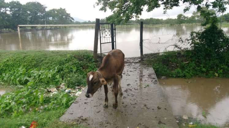 Campo de fútbol en Villanueva, Cortés está inundado.