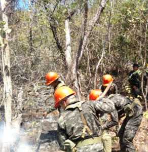 incendios forestales