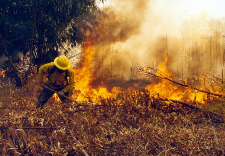 incendios forestales