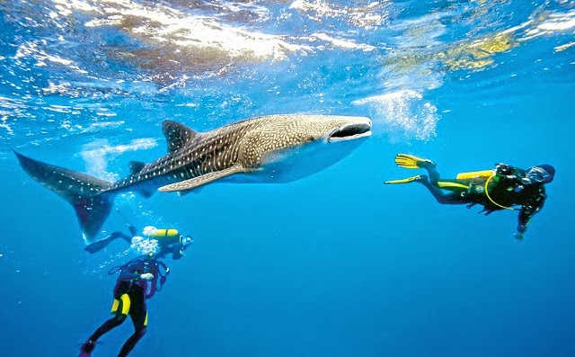 utila