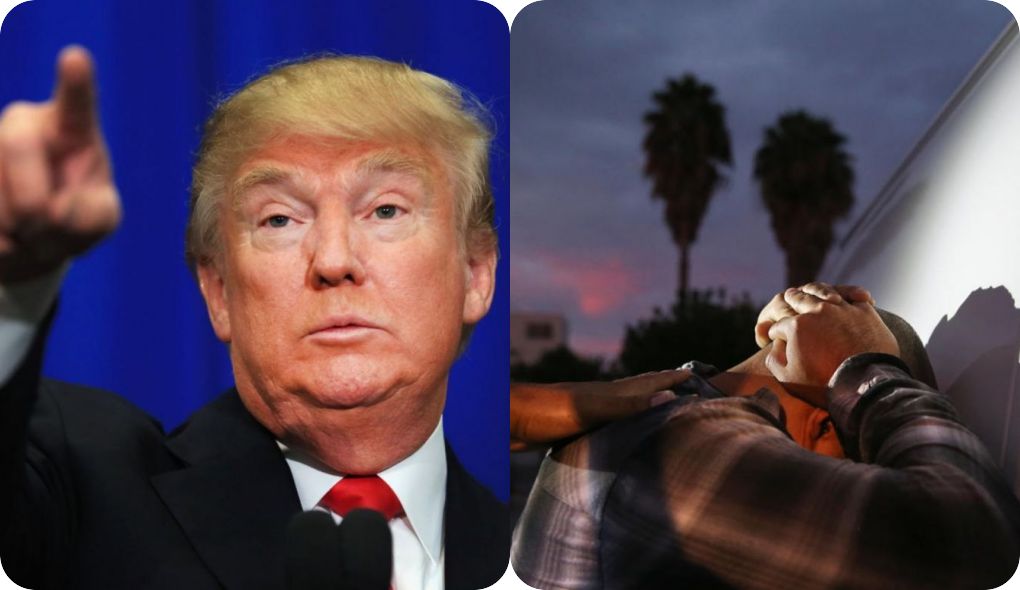 El gobierno de Donald Trump