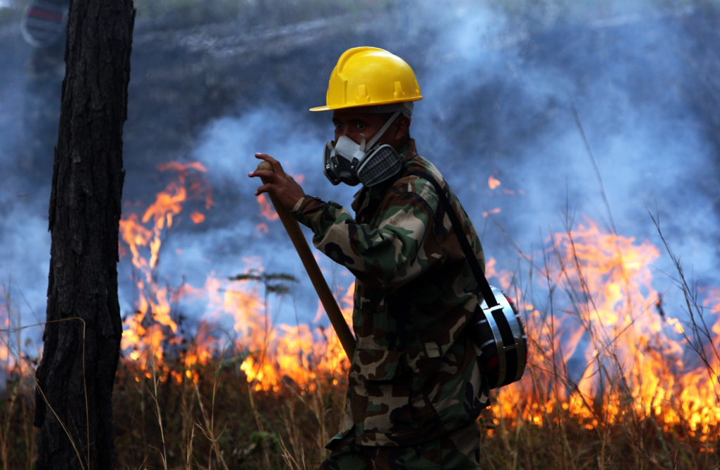 De 6 a 12 años le caerán a quien le prenda fuego a los bosques 