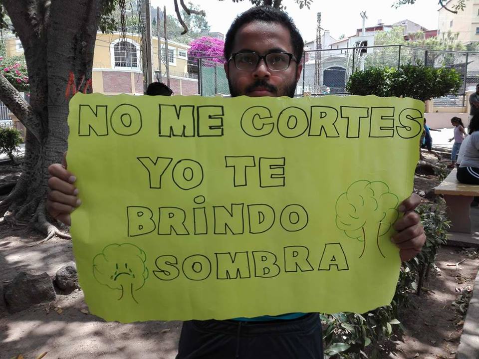 crimen ambiental