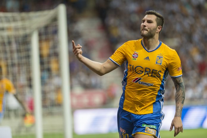 tigres