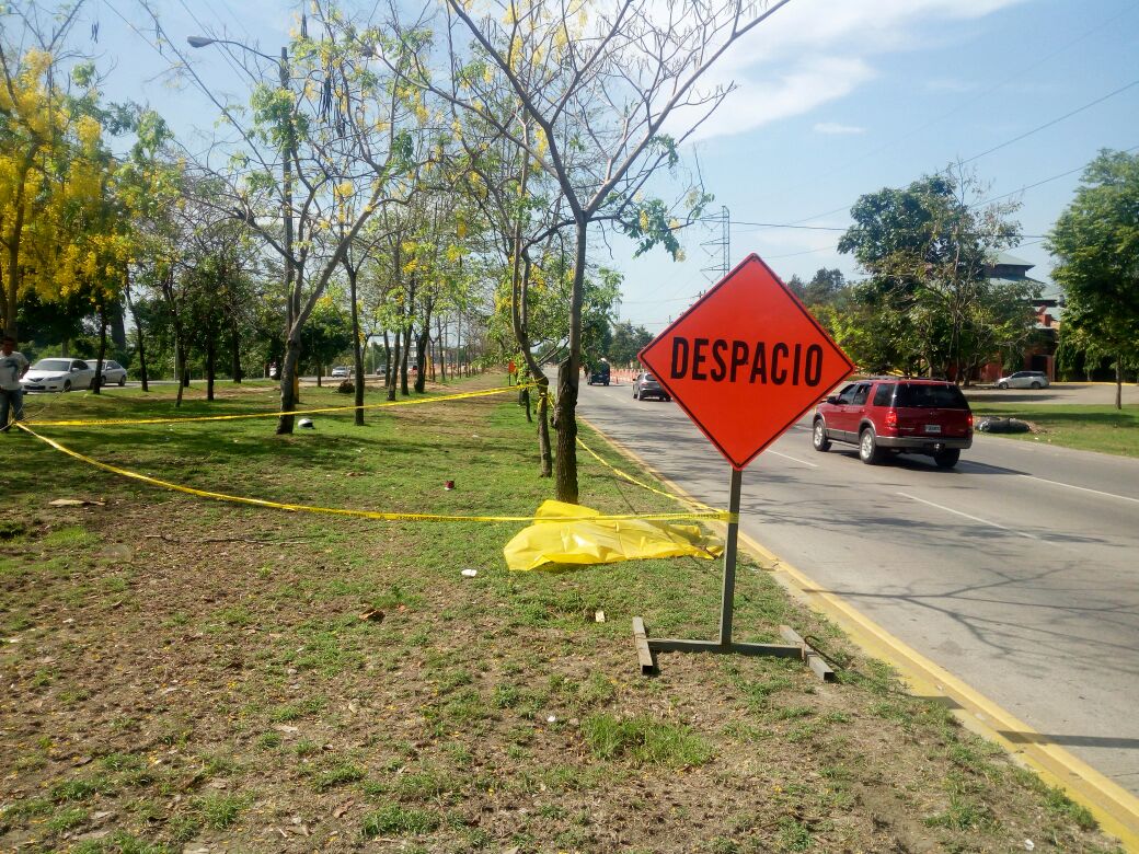 atropellado frente a zizima