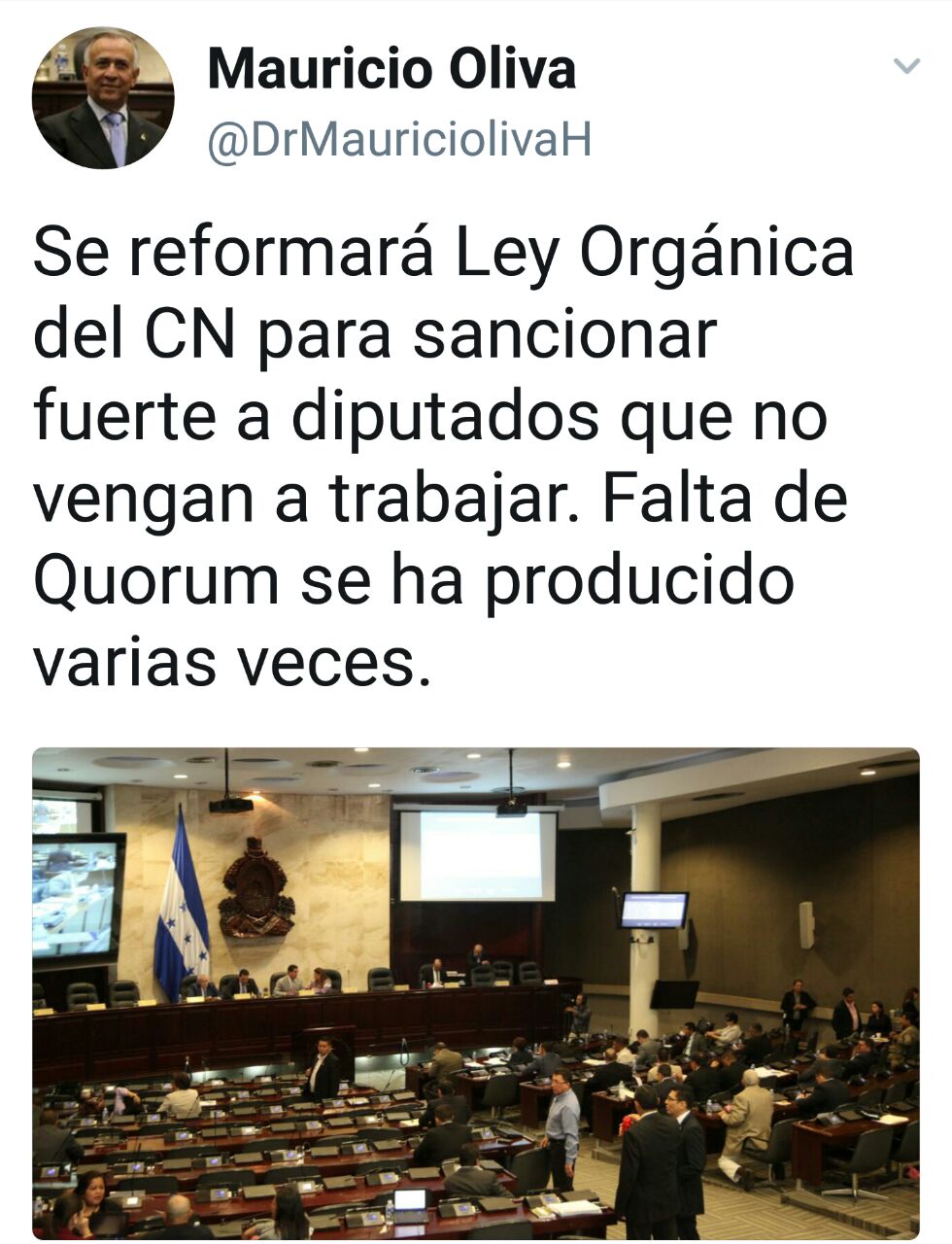 diputados