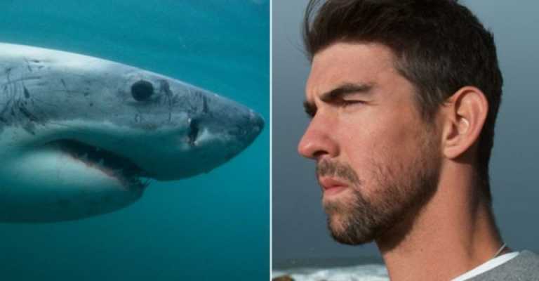 VÍDEO: Michael Phelps pierde en una carrera ante un tiburón blanco