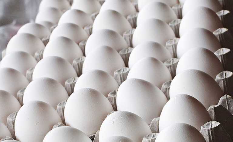 El cartón de huevos