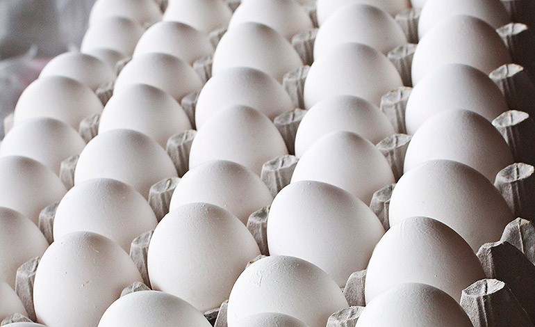 El cartón de huevos