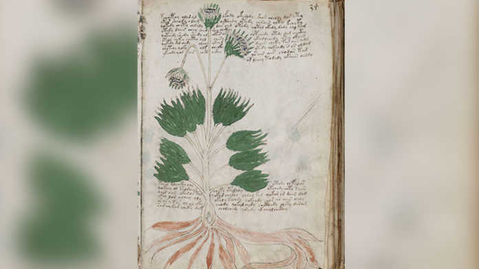 manuscrito de Voynich manuscrito de Voynich