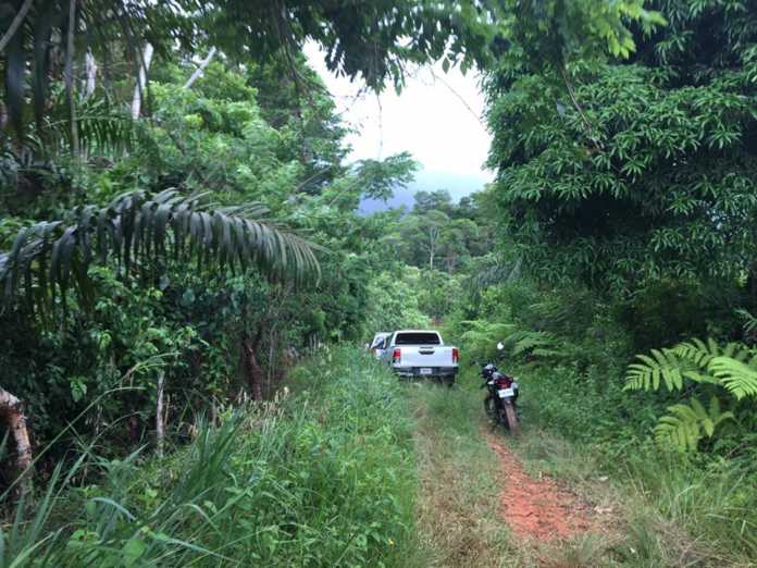 Muertos en La Ceiba