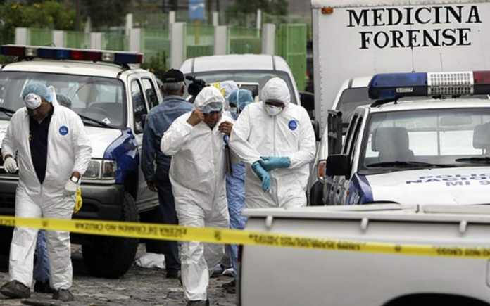 Medicina Forense