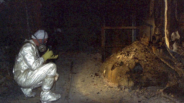 pata de elefante