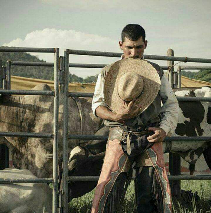 Vaquero en Ocotepeque