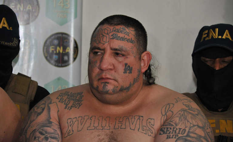 La hija de Boxer Hiuber