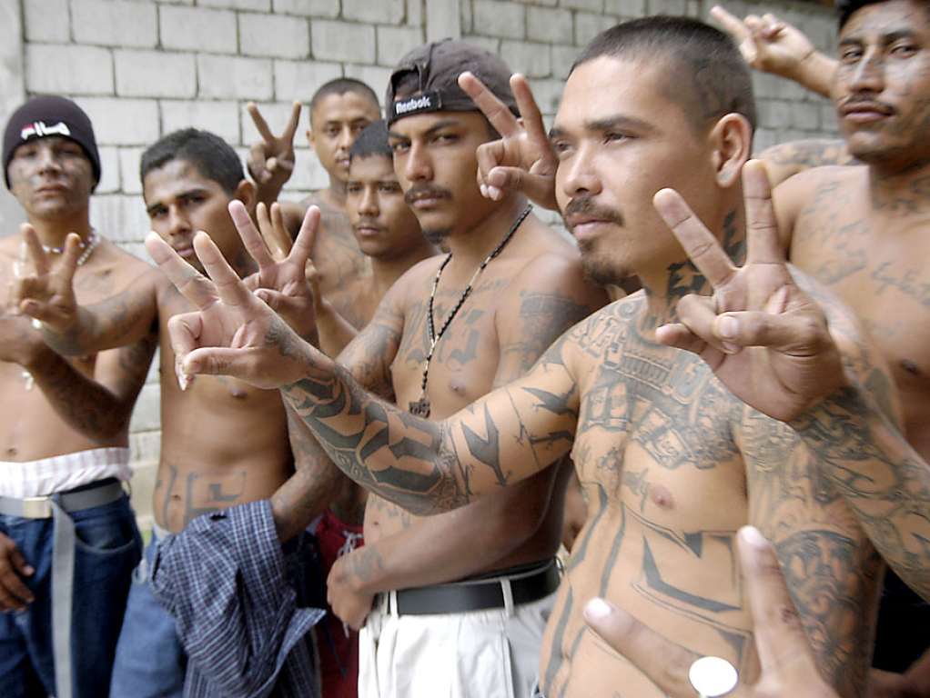 MS 13 se está debilitando