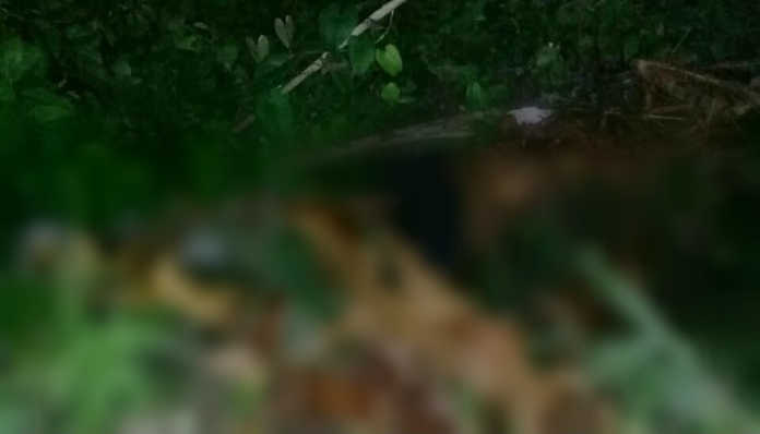 muerto en La Ceiba