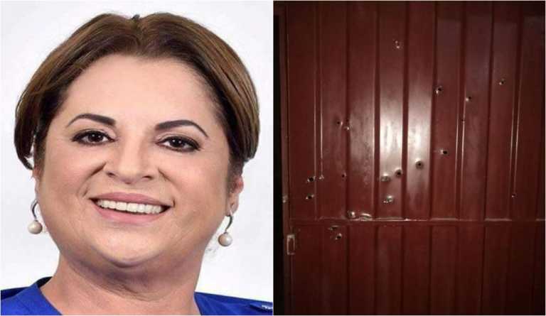 diputada