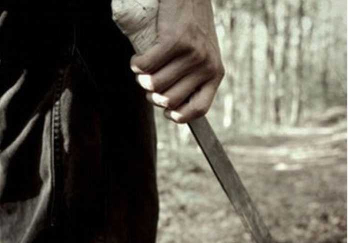 primos se machetean primos se machetean