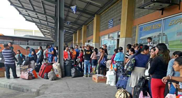 terminal de buses en sps