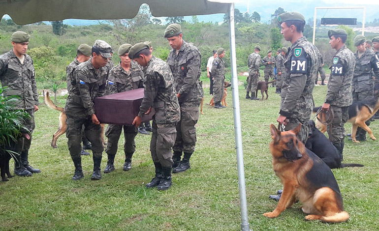 Con honores entierran a perros