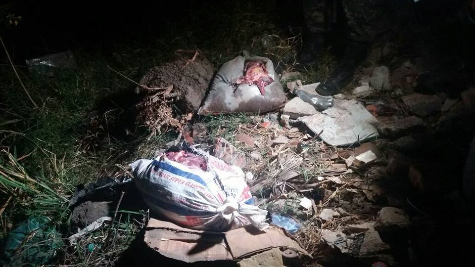 cementerio clandestino de caballos en Tegucigalpa